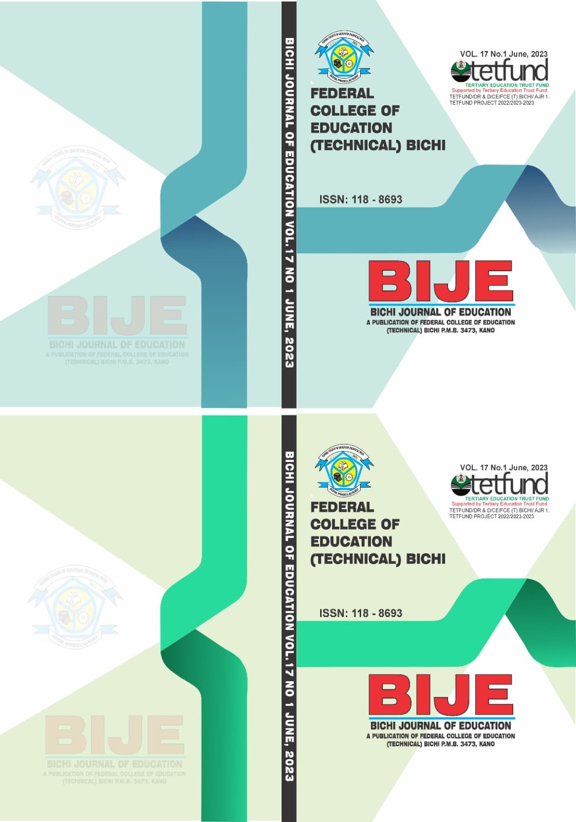 BIJE Cover — Vol 18 No 1 June 2024